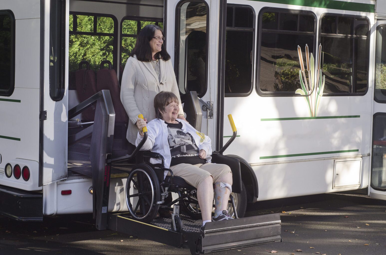 paratransit rides