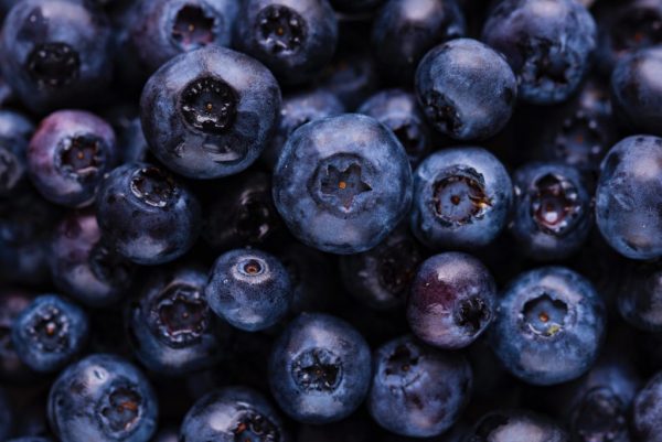 blueberry images